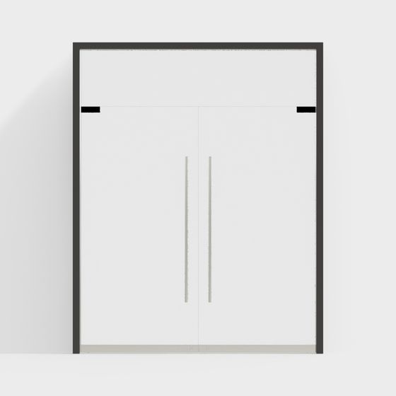 Modern Glass Door