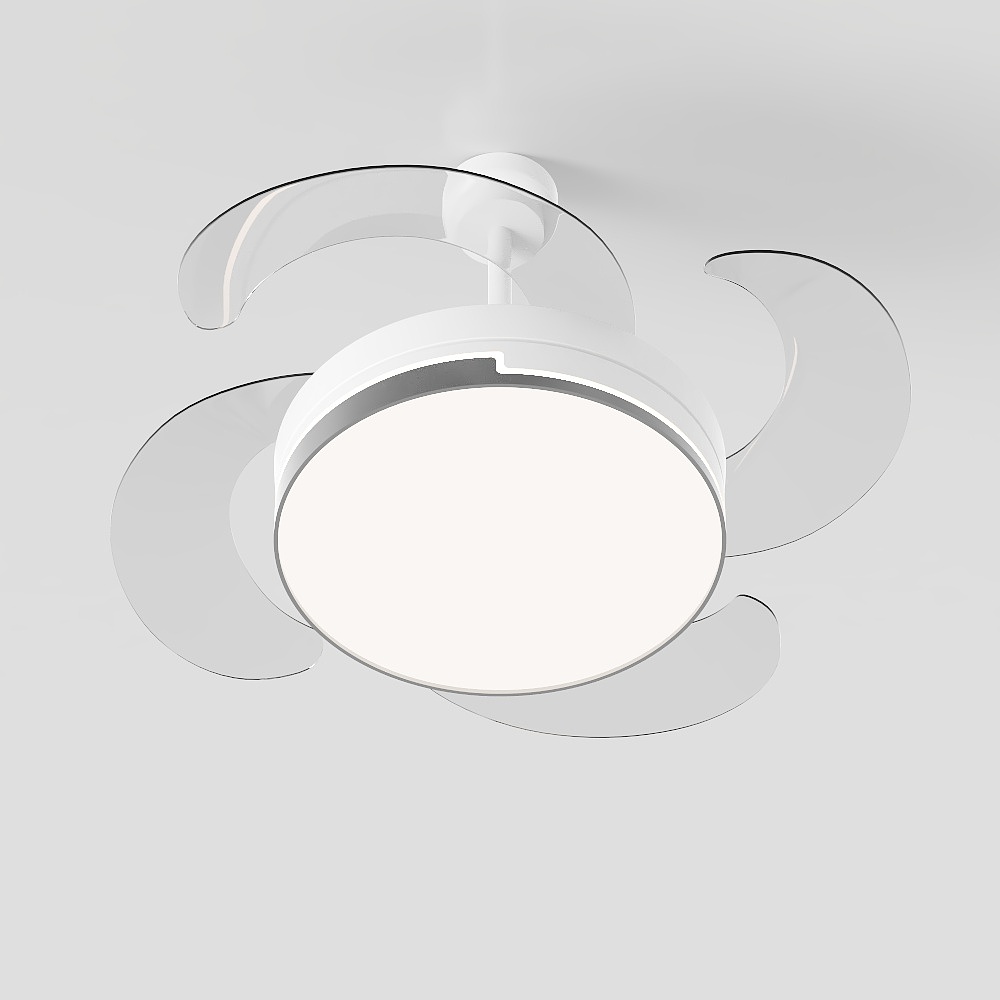 Modern Ceiling Fan