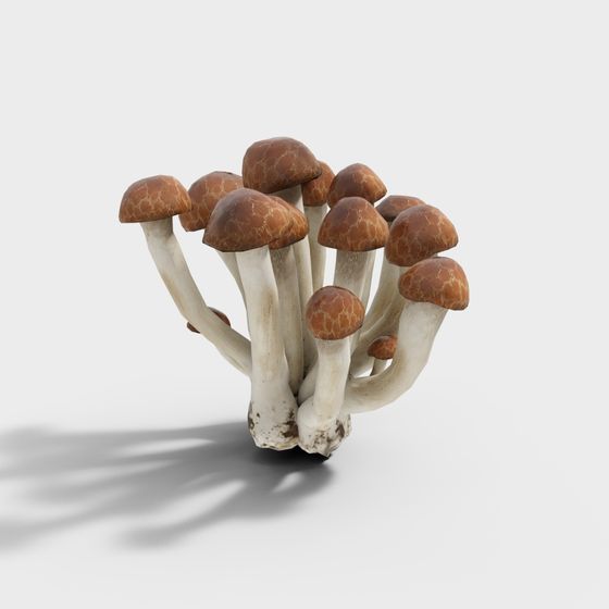 Mystical Forest Spirit 3D Model