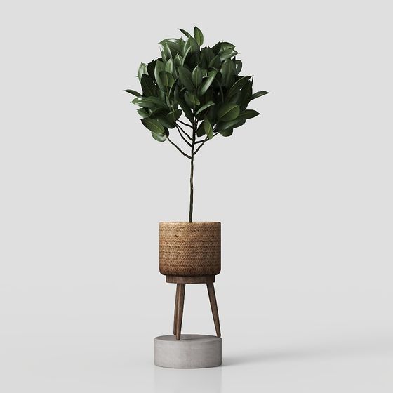 Stylish Potted Green Plant 3D model for Creative Spaces