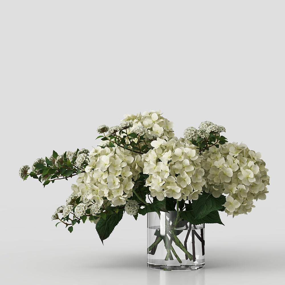 Modern White Flowers