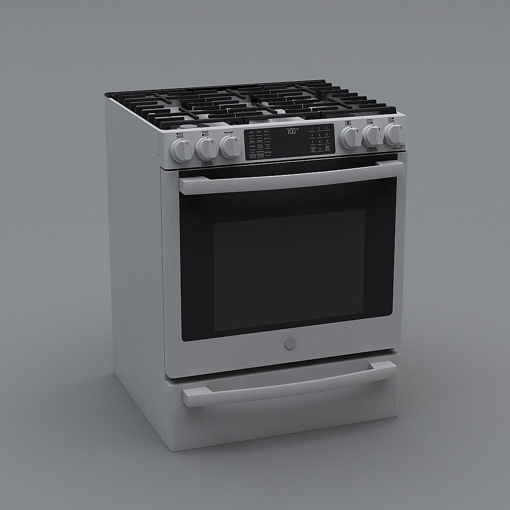 Gas stove