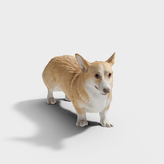 Charming Corgi Dog 3D model for Creative Projects