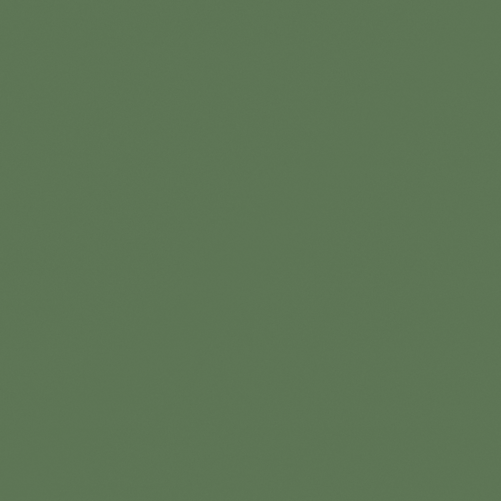 Guanmeisenyuan - Olive Fruit Green