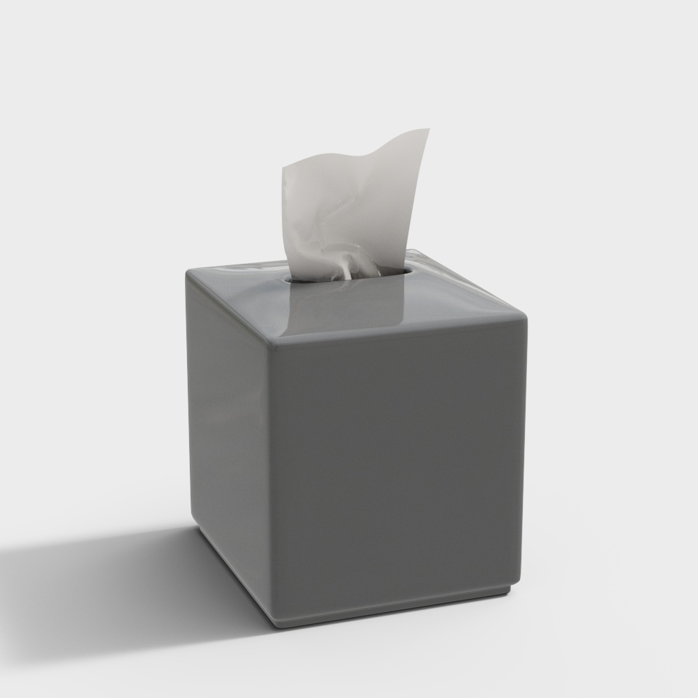 Elegant Low-Polygon Tissue Box 3D model