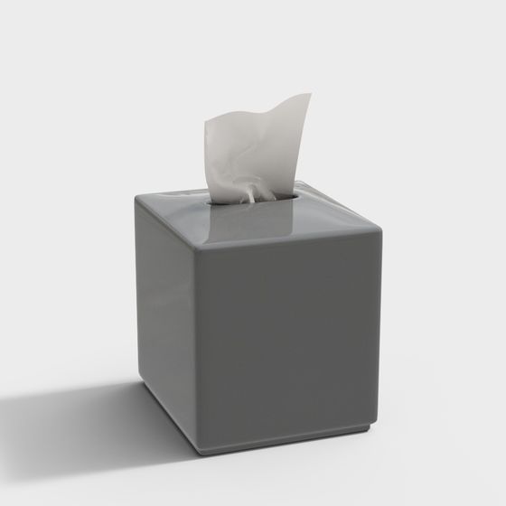 Elegant Low-Polygon Tissue Box 3D model
