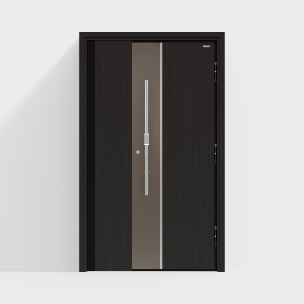 Moderne Eingangssicherheitstür 13