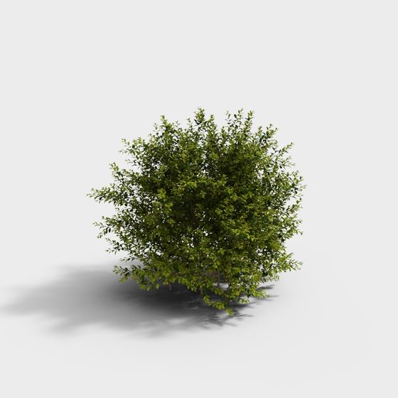 Realistic Low-Polygon Bush 3D Model