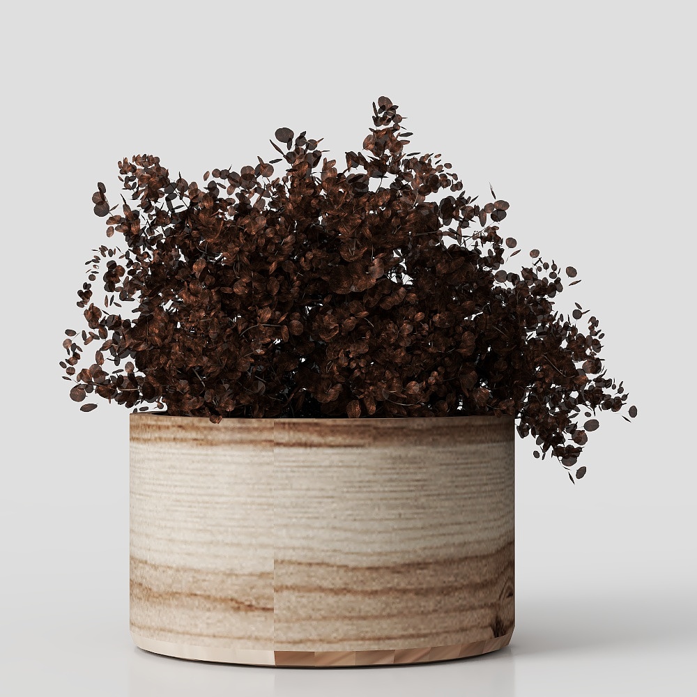Plante en Pot de Style Wabi Sabi