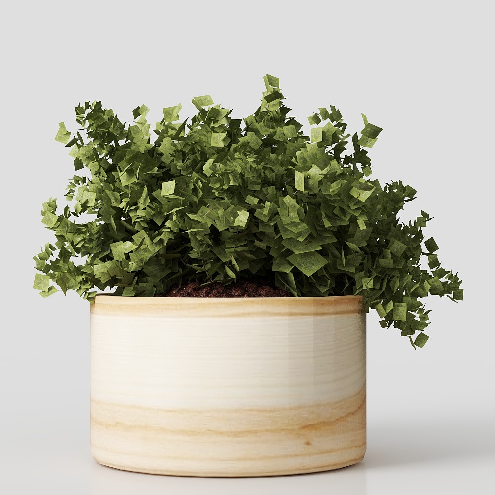 Potted Plant