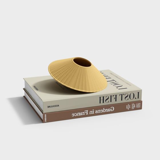 Conical Hat 3D Model