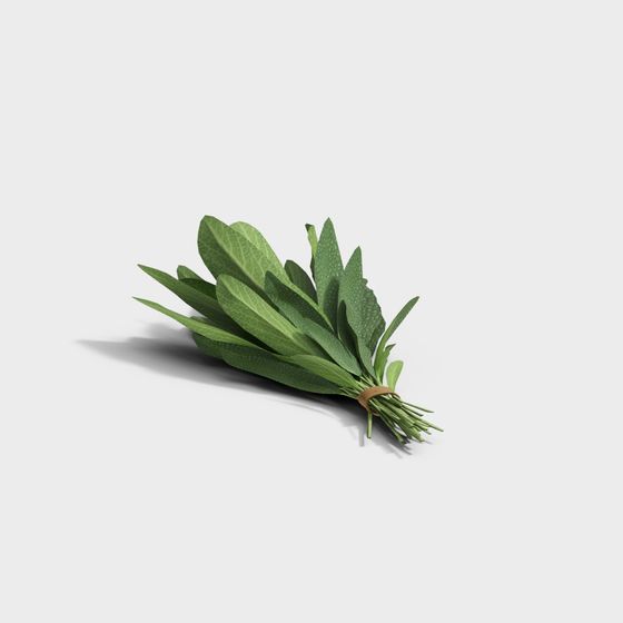 Fresh Herb Bundle 3D model
