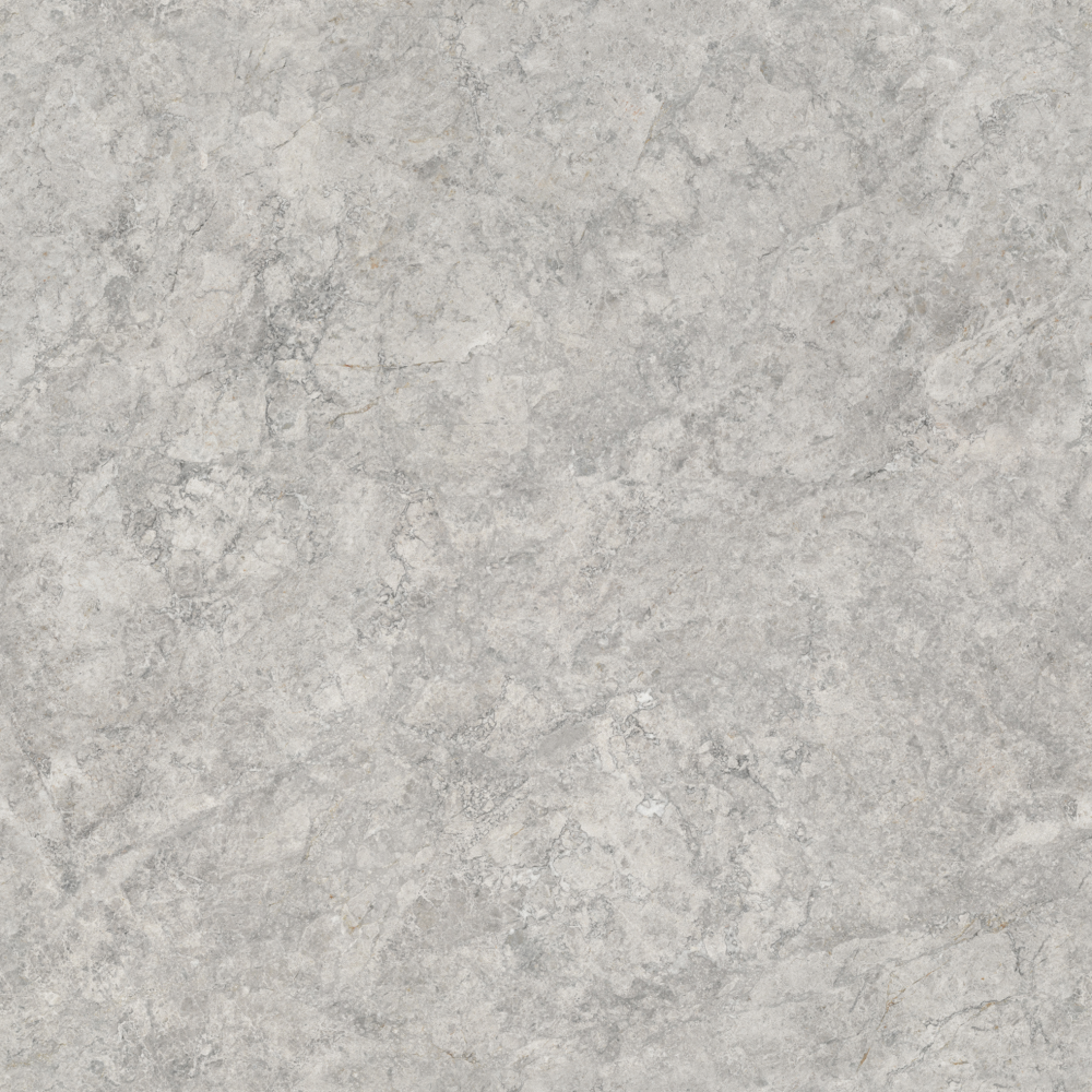 Morrissey Gray 800x800