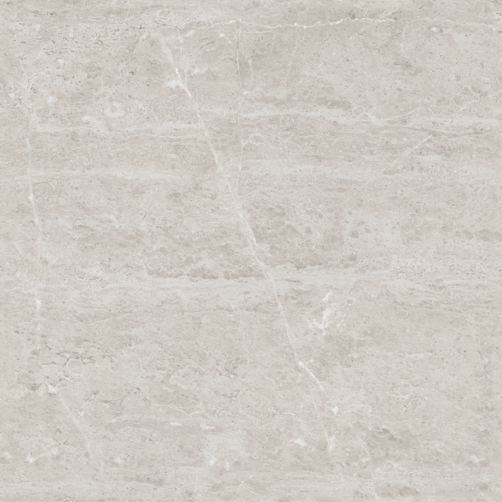 Modi Gray 800x800