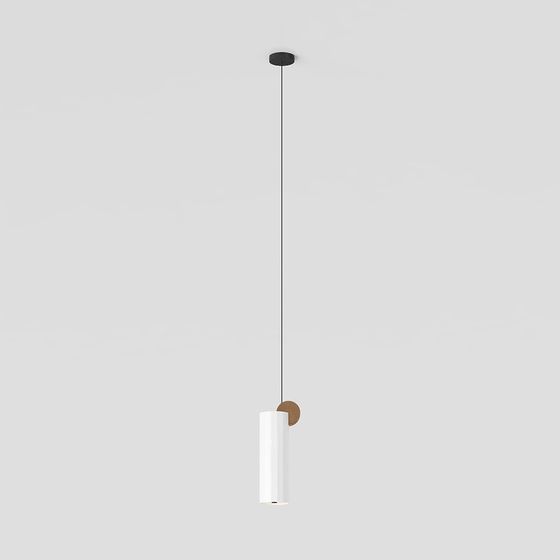 Minimalist Pendant Light 3D model