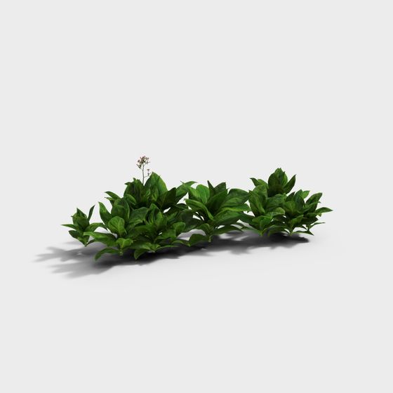 Lush Garden Bush 3D model for Designers and Developers