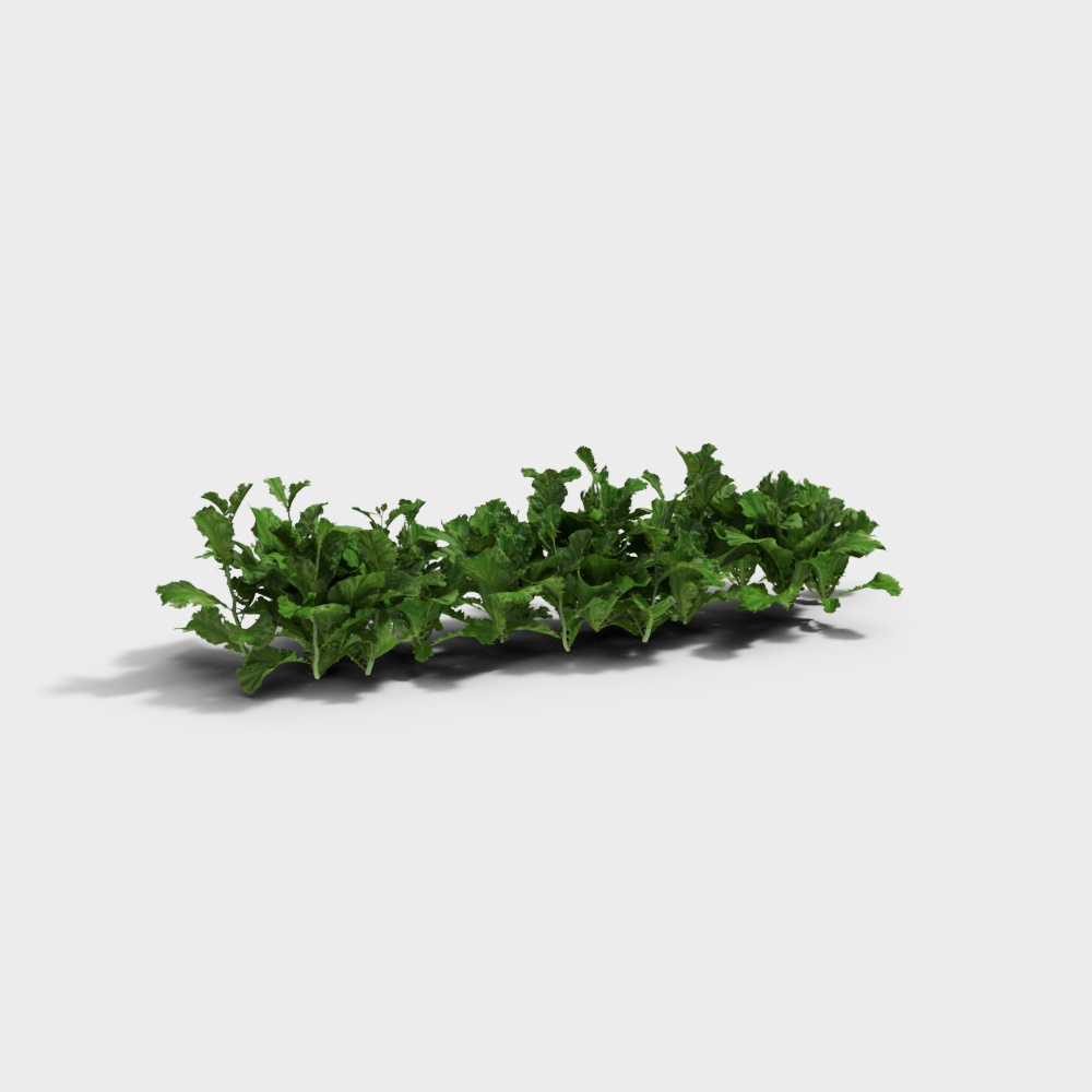 Crisp Green Plant Wall 3D model