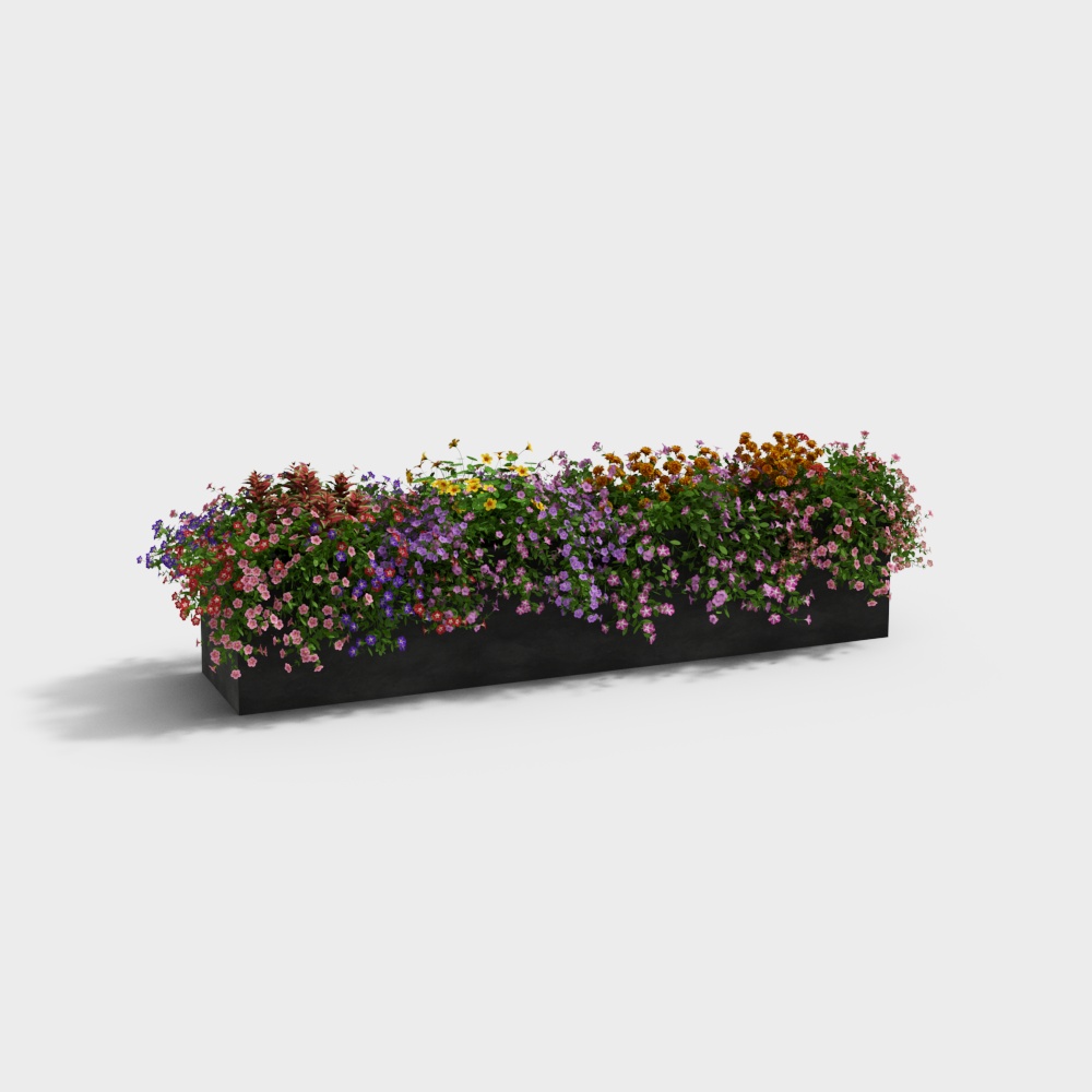 Modern Flower Box