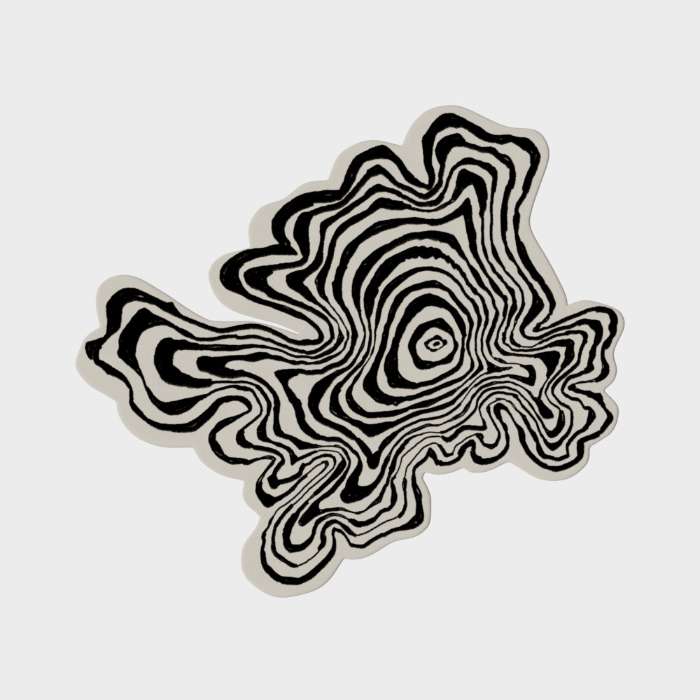 Tapis noir et blanc moderne