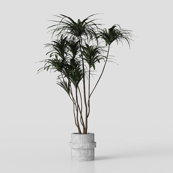Urban Oasis 3D model - Low Poly Plant