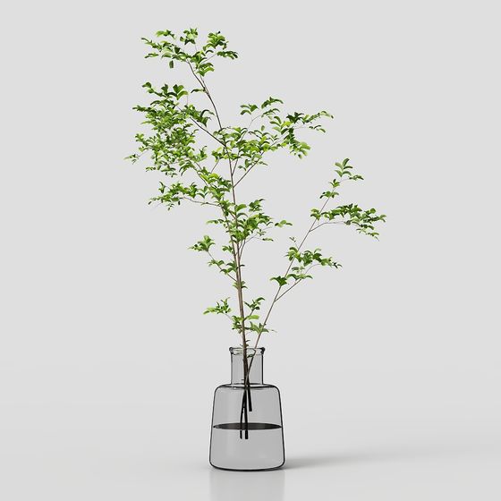 Elegant Glass Vase with Natural Elements 3D model