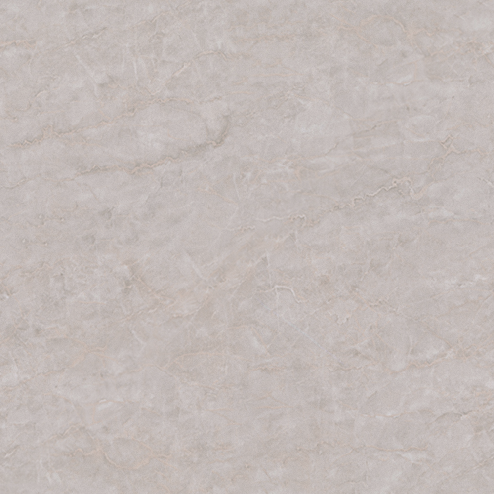 White Magnolia 900x900