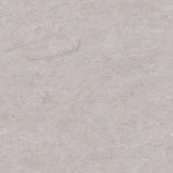 White Magnolia 900x900