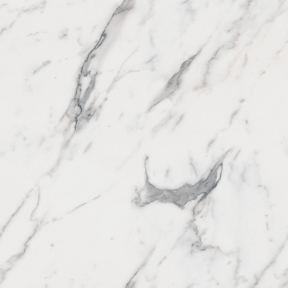 Fish Belly White 900x900