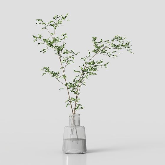 Glass Vase with Green Plant 3D model