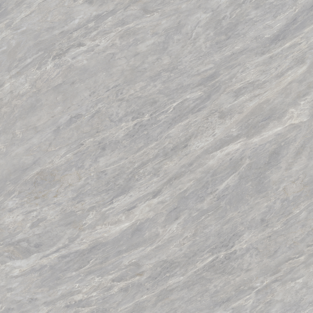 Elegant Gray 800x800