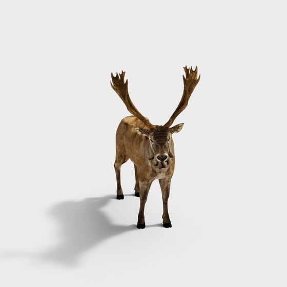 Majestic Forest King 3D Model