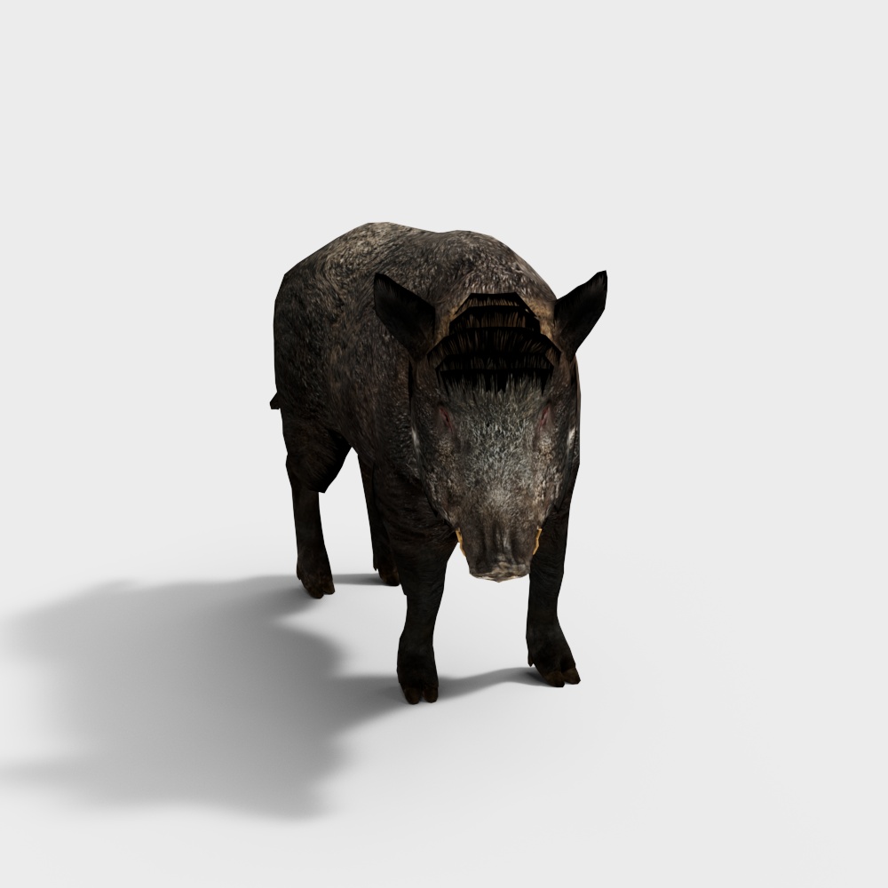 Дикий кабан