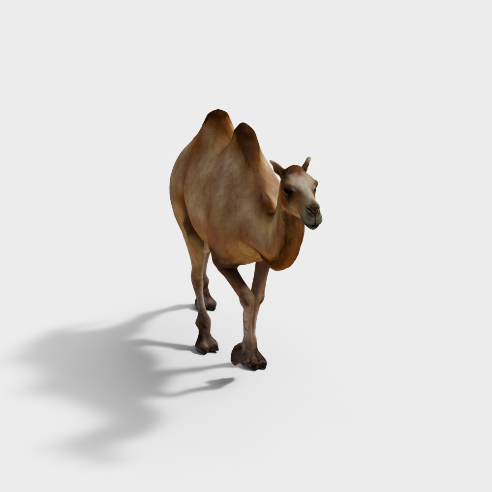 Realistic Bactrian Camel 3D model for Creative Projects