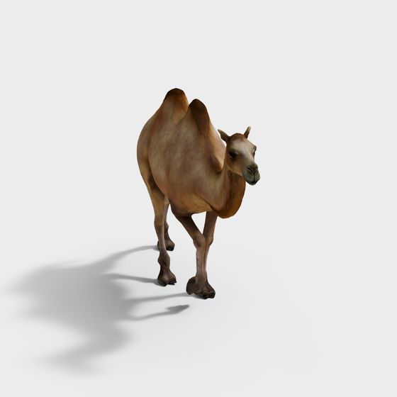 Realistic Bactrian Camel 3D model for Creative Projects