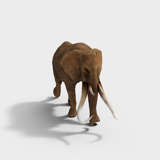Realistic African Elephant 3D Model