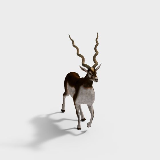 Elegant Antelope 3D Model for Realistic Scenes