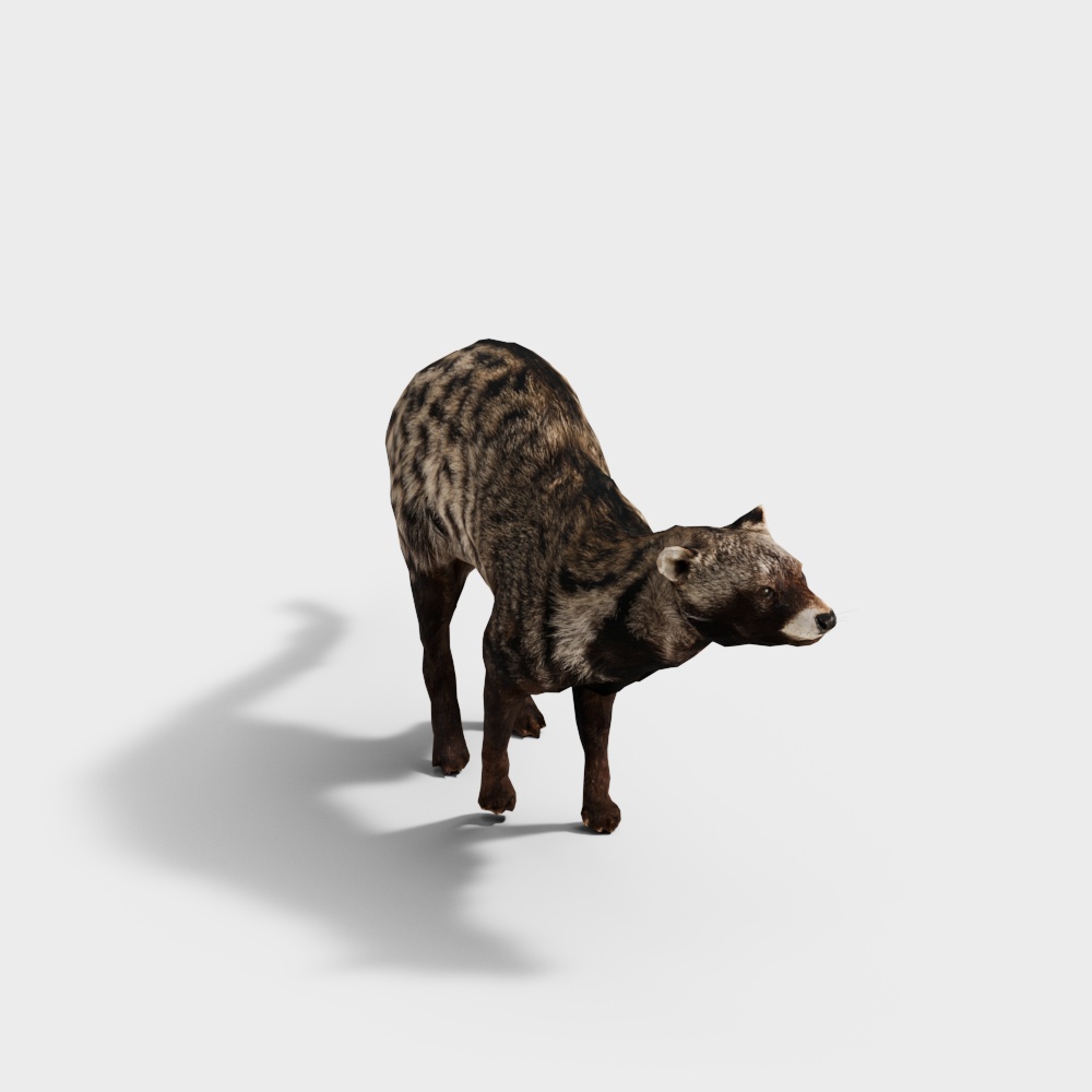Forest Spirit Wild Dog 3D model