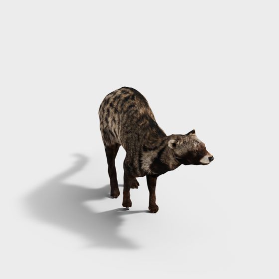 Forest Spirit Wild Dog 3D model