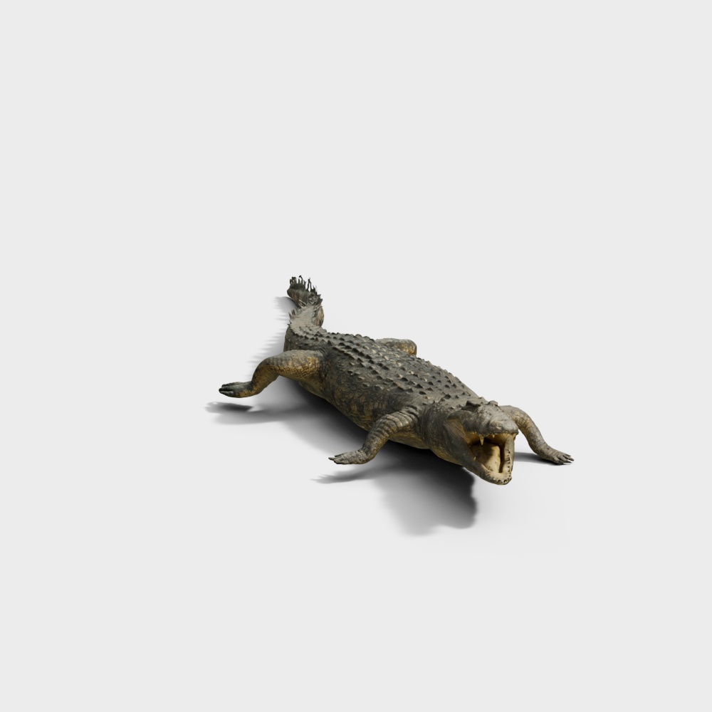 High-Detail Low-Poly Alligator 3D model