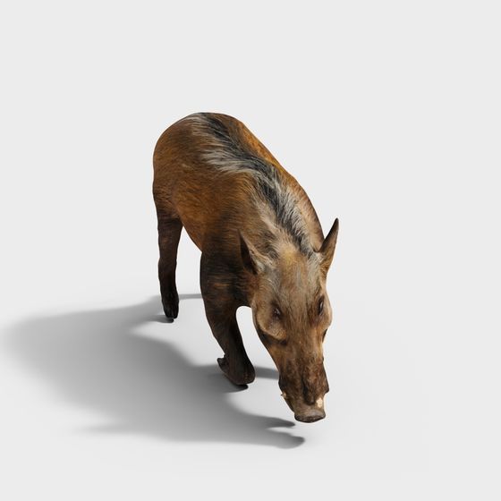 Realistic Wild Boar 3D Model for Creative Projects