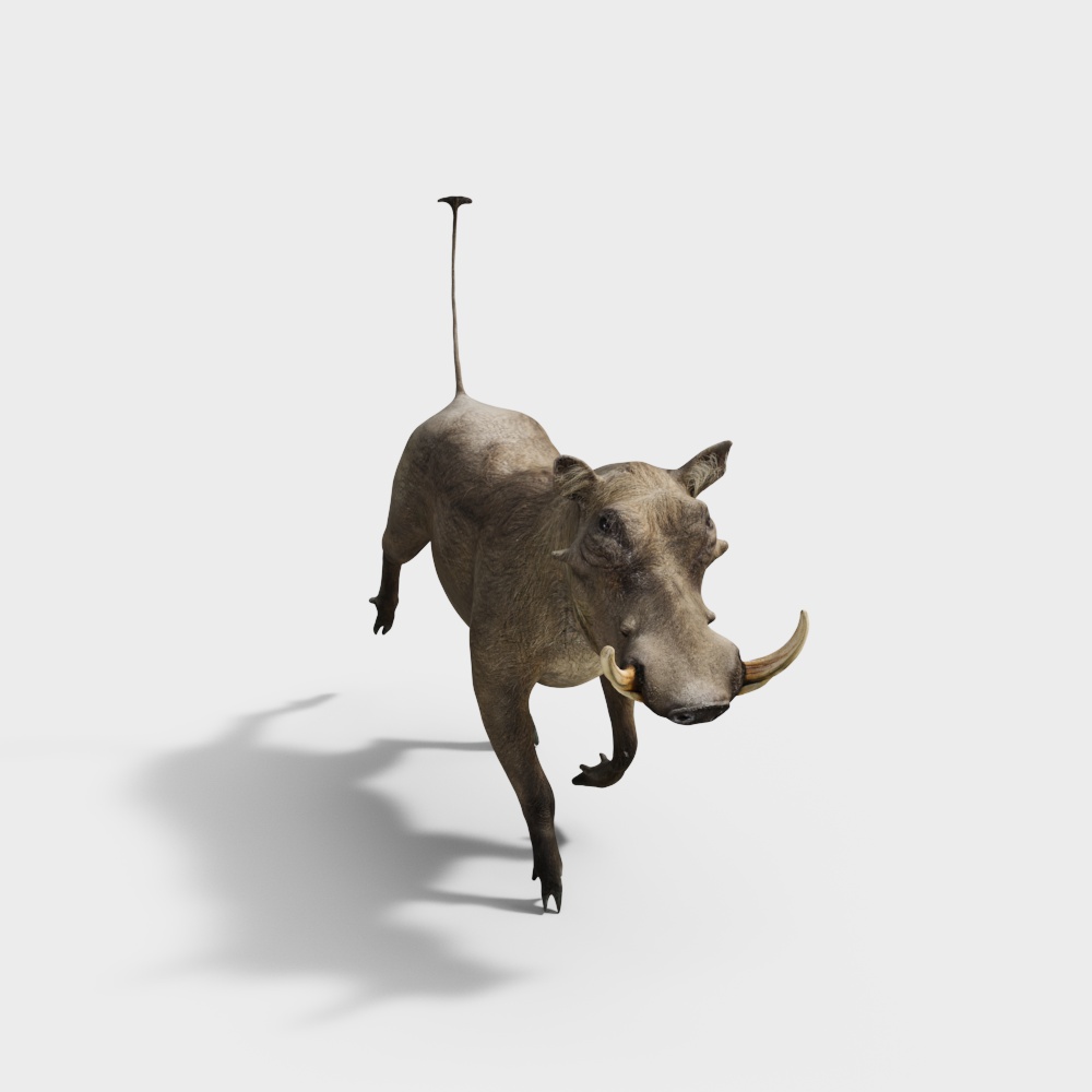 Running Warthog 3D model