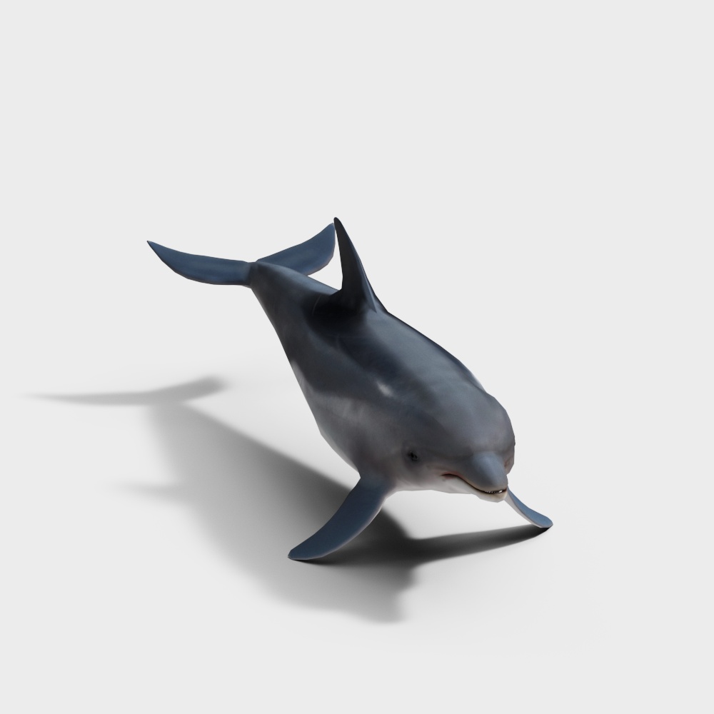Dynamic Jumping Dolphin 3D model