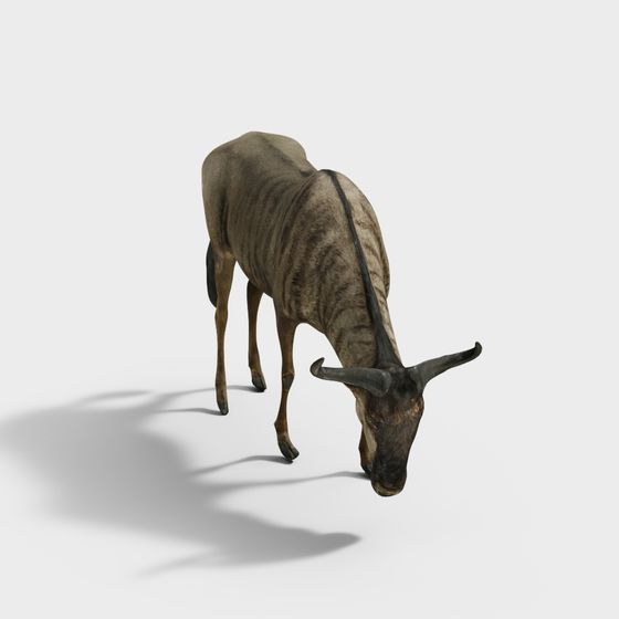 Lifelike Low-Polygon Antelope 3D Model for Creative Projects