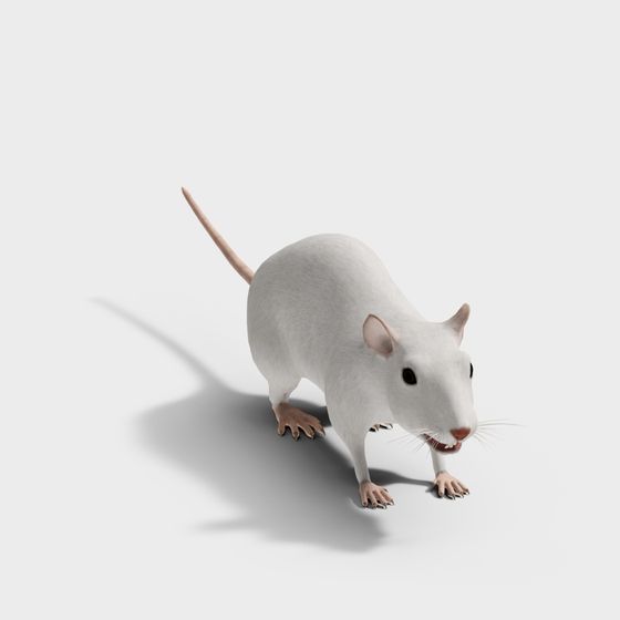 Curious Mouse 3D model for Creative Projects