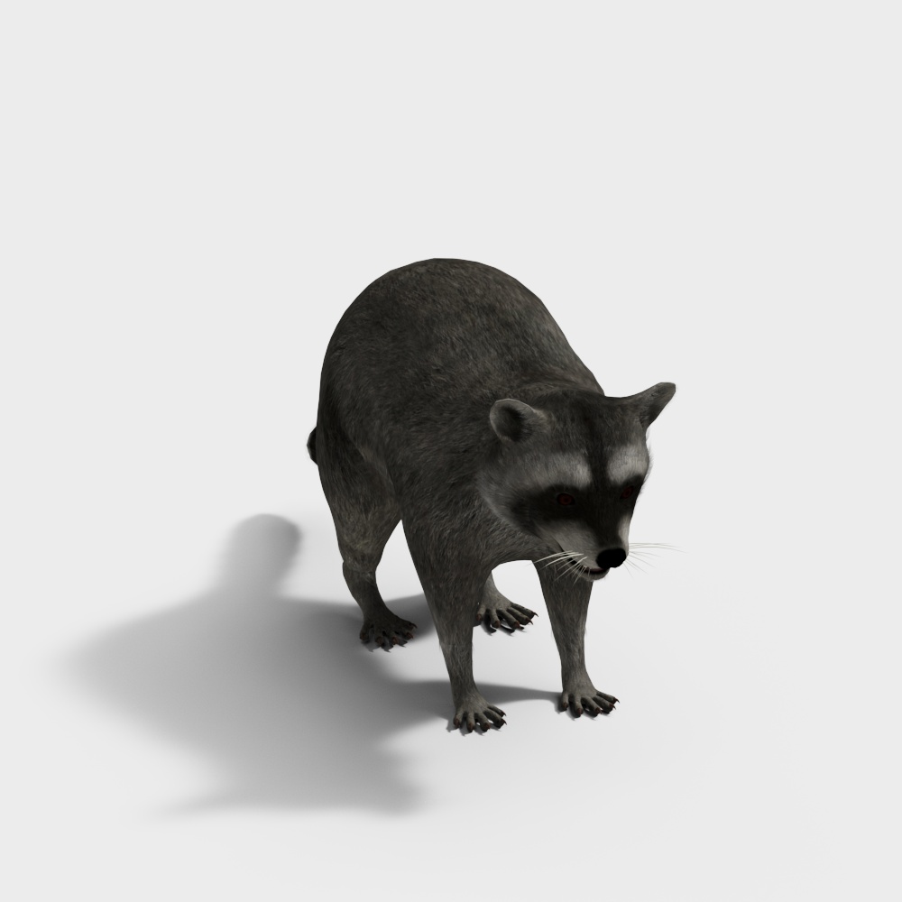 Realistic Low-Poly Raccoon 3D model