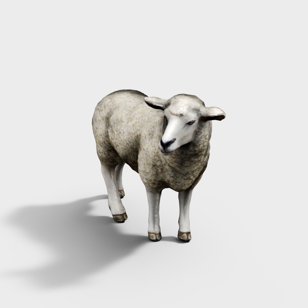 Realistic Low-Poly Sheep 3D Model