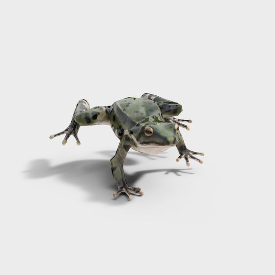 Realistic Jumping Frog 3D model