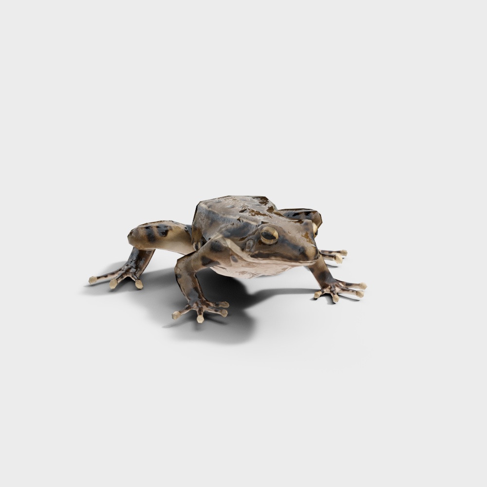Realistic Low-Polygon Forest Spirit Frog 3D model