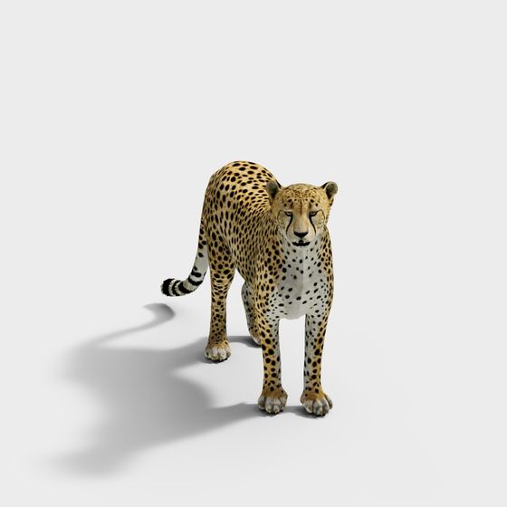 Realistic Cheetah 3D Model for Creative Projects
