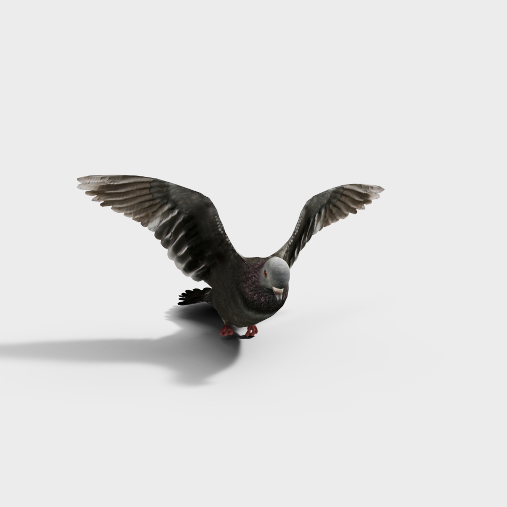 Detailed Low-Poly Flying Pigeon 3D Model